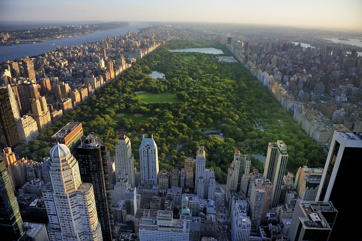 Aerial view of the Central park in New York