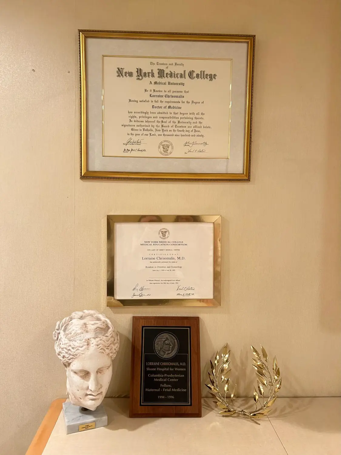 Dr. Lorraine Chrisomalis-Valasiadis degrees