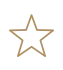 Star icon